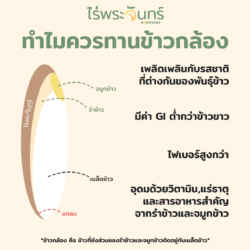 ข้าว7สายพันธุ์ - Image 4