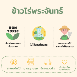 ข้าวเหนียวดำ - Image 2
