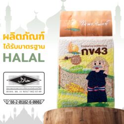 ข้าวกล้องกข43 22 ข้าวกล้องกข43 - Image 9