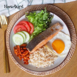 ข้าวกล้องกข43 24 ข้าวกล้องกข43 ข้าวกข43 ข้าวน้ำตาลต่ำ ข้าวน้ำตาลน้อย ข้าวกล้อง ไม่อ้วน