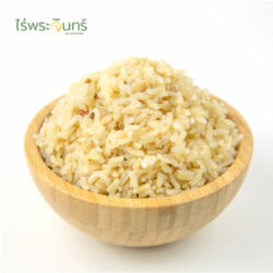 ข้าวกล้องกข43 19 ข้าวกล้องกข43 ข้าวกข43 ข้าวน้ำตาลต่ำ ข้าวน้ำตาลน้อย ข้าวกล้อง ไม่อ้วน