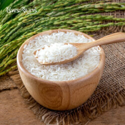 ข้าวขาวกข43 19 ข้าวขาวกข43 ข้าวกข43 กข43 RD43 rice ข้าวน้ำตาลต่ำ