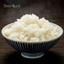 ข้าวขาวกข43 22 ข้าวขาวกข43 ข้าวกข43 กข43 RD43 rice ข้าวน้ำตาลต่ำ