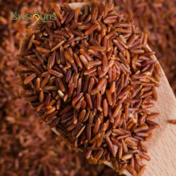 ข้าวหอมมะลิแดง 17 ข้าวหอมมะลิแดง หอมมะลิแดง ข้าวแดง red jasmine red jusmine rice