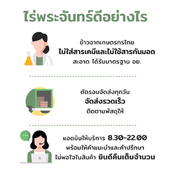 ข้าวกล้องกข43 15 ข้าวกล้องกข43 - Image 2