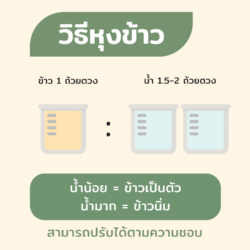ข้าว7สายพันธุ์ 16 ข้าว7สายพันธุ์ - Image 6