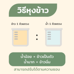 ข้าวขาวกข43 20 ข้าวขาวกข43 - Image 7