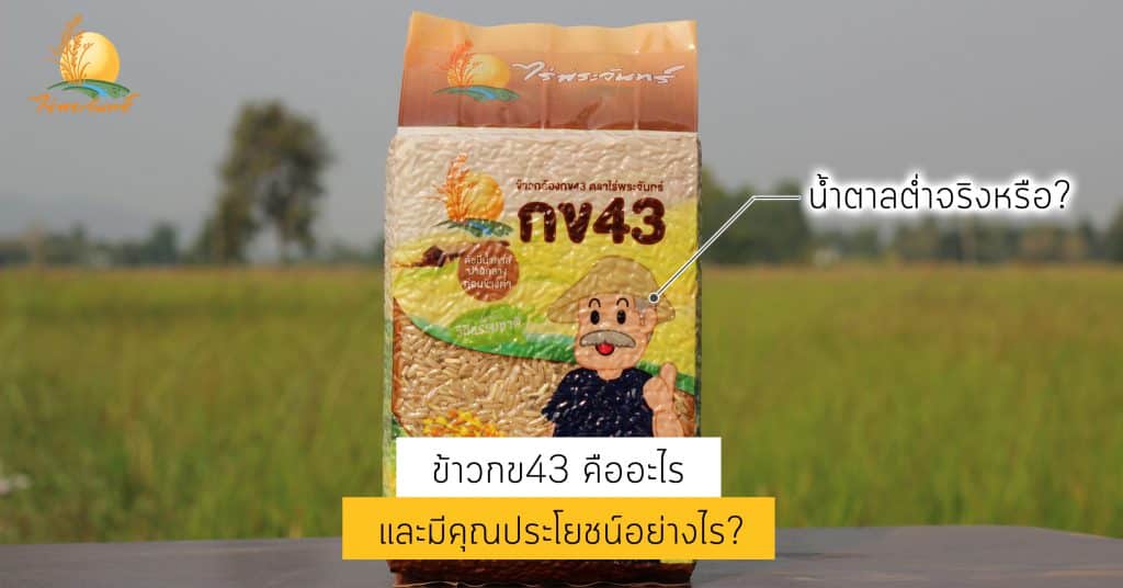 ข้าวกข43 คืออะไร มีประโยชน์อย่างไร 1 ข้าวกล้องกข43 ข้าวกข43 ข้าวกล้อง กข43 Brown Rice ไร่พระจันทร์ RD43 ข้าวเพื่อสุขภาพ ข้าวปลอดสารเคมี ข้าวกล้องกข43 คืออะไร หุงยังไง มีประโยชน์