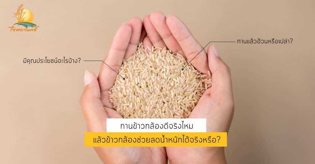 ทานข้าวกล้องดีจริงไหม แล้วข้าวกล้องช่วยลดน้ำหนักได้จริงหรือ ? 1 ข้าวกล้องกข43 ข้าวกข43 ข้าวกล้อง กข43 Brown Rice ไร่พระจันทร์ RD43 ข้าวเพื่อสุขภาพ ข้าวปลอดสารเคมี ข้าวกล้องกข43 คืออะไร หุงยังไง มีประโยชน์ ข้าวกล้องกินดีจริงมั้ย ข้าวกล้องทานดีมั้ย ทานข้าวกล้องดีจริงไหม ข้าวกล้องลดน้ำหนักได้หรือยัง ลดน้ำหนัก