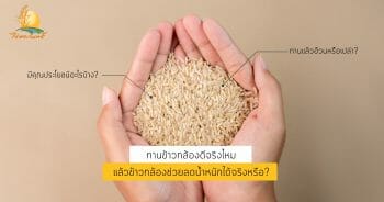 ทานข้าวกล้องดีจริงไหม แล้วข้าวกล้องช่วยลดน้ำหนักได้จริงหรือ ? 2 ทานข้าวกล้องดีจริงไหม แล้วข้าวกล้องช่วยลดน้ำหนักได้จริงหรือ ?