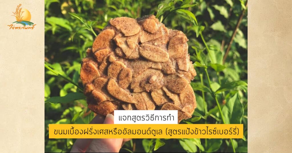 วิธีทำขนมเบื้องฝรั่งเศส (สูตรแป้งข้าวไรซ์เบอร์รี่) 1 อัลมอนด์ตูเล อัลมอนด์ทูเล ขนมเบื้องฝรั่งเศส วิธีทำ