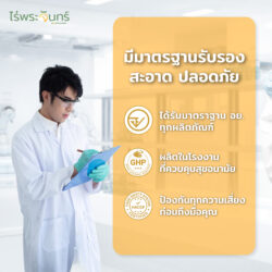 โกจิเบอร์รี่แดงอบแห้ง 11 โกจิเบอร์รี่แดงอบแห้ง - Image 5
