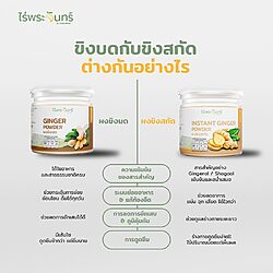 ผงขิงสกัด 13 ผงขิงสกัด ขิงผงสกัด ขิงแท้ ไร่พระจันทร์