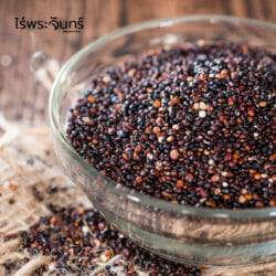 ควินัวดำ (20 กิโลกรัม) 7 ควินัว ควินัวดำ ควินัวสีดำ คินัว คินัวดำ คีนัว คีนัวดำ quinoa black thailand quinoa thai