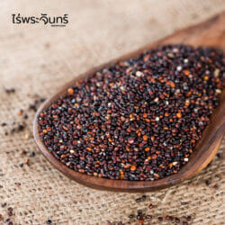 ควินัวดำ (20 กิโลกรัม) 6 ควินัว ควินัวดำ ควินัวสีดำ คินัว คินัวดำ คีนัว คีนัวดำ quinoa black thailand quinoa thai