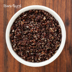 ควินัวดำ (20 กิโลกรัม) 5 ควินัว ควินัวดำ ควินัวสีดำ คินัว คินัวดำ คีนัว คีนัวดำ quinoa black thailand quinoa thai