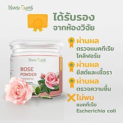 ผงกุหลาบ 12 ผงกุหลาบ กุหลาบผง ไร่พระจันทร์