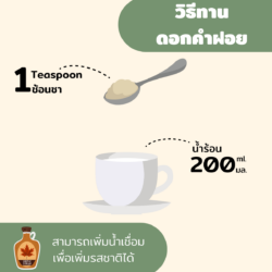 ดอกคำฝอยอบแห้ง 11 ดอกคำฝอยอบแห้ง - Image 4