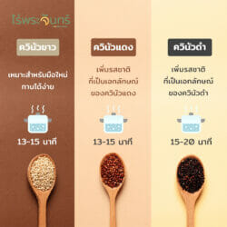 ควินัว3สี (20กิโลกรัม) 3 ควินัว3สี (20กิโลกรัม) - Image 3