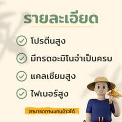 ควินัว3สี (20กิโลกรัม) 4 ควินัว3สี (20กิโลกรัม) - Image 4