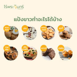 แป้งข้าวไรซ์เบอร์รี่ 12 แป้งข้าวไรซ์เบอร์รี่ - Image 4