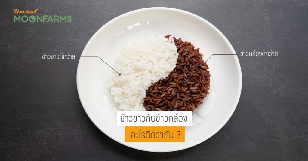 ข้าวขาวกับข้าวกล้อง อะไรดีกว่ากัน 1 ข้าวขาวกับข้าวกล้อง อะไรดีกว่ากัน