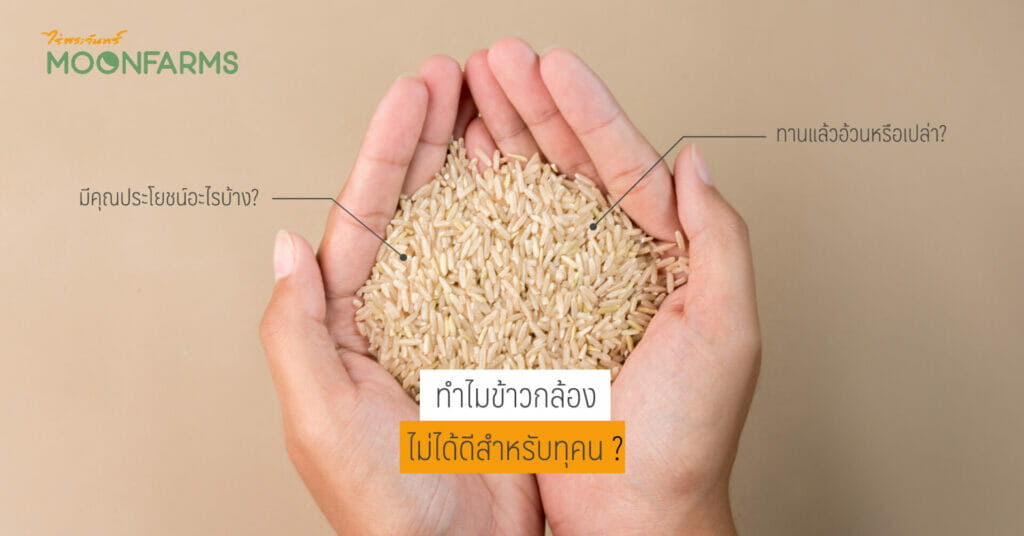 ทำไมข้าวกล้องไม่ได้ดีสำหรับทุกคน 1 ทำไมข้าวกล้องไม่ได้ดีสำหรับทุกคน