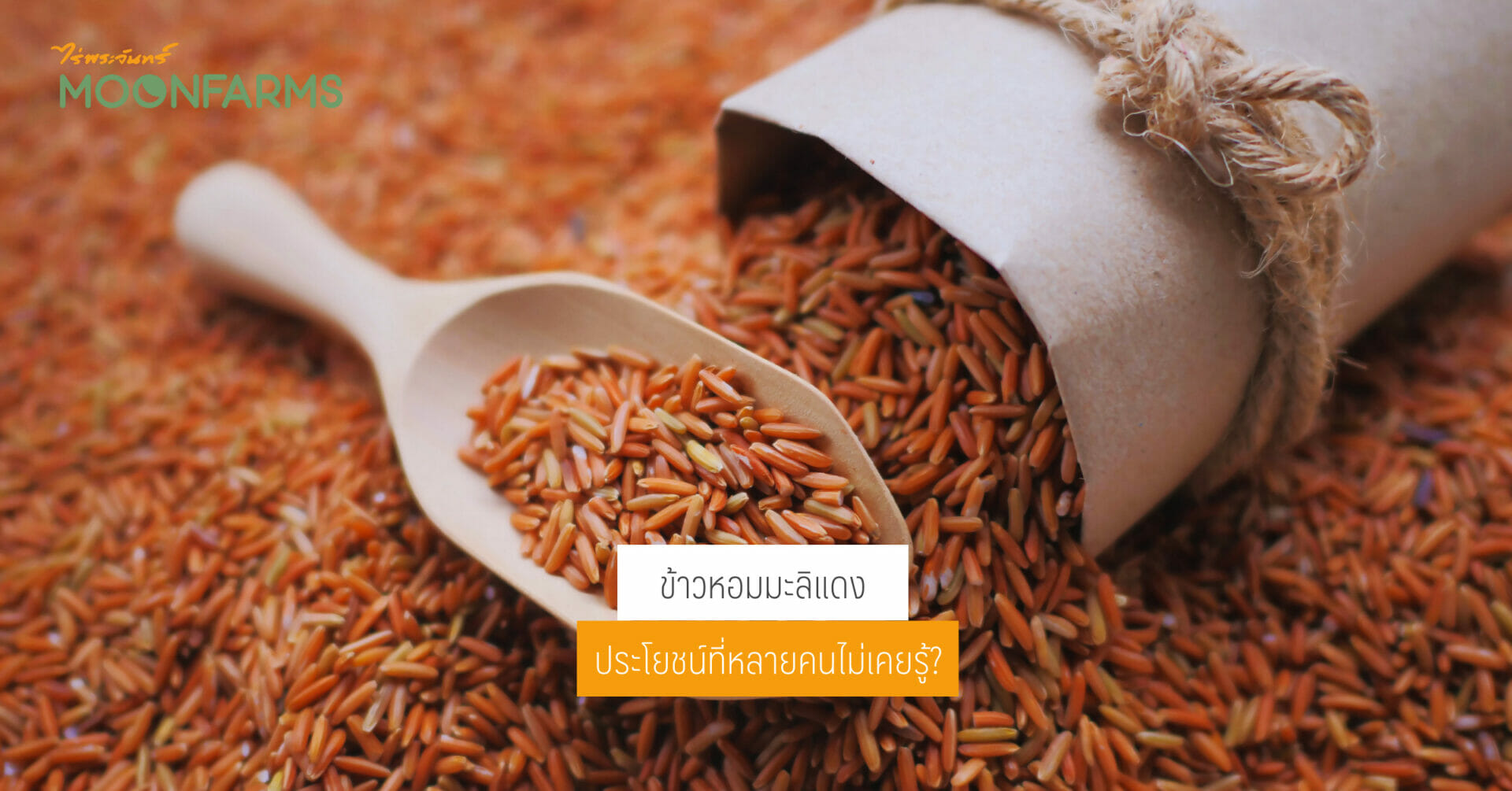 5 ประโยชน์ของข้าวหอมมะลิแดง 4 5 ประโยชน์ของข้าวหอมมะลิแดง