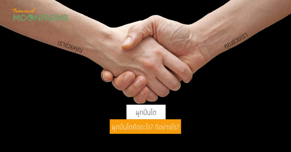 การผูกปิ่นโตคืออะไร 1 ผูกปิ่นโต