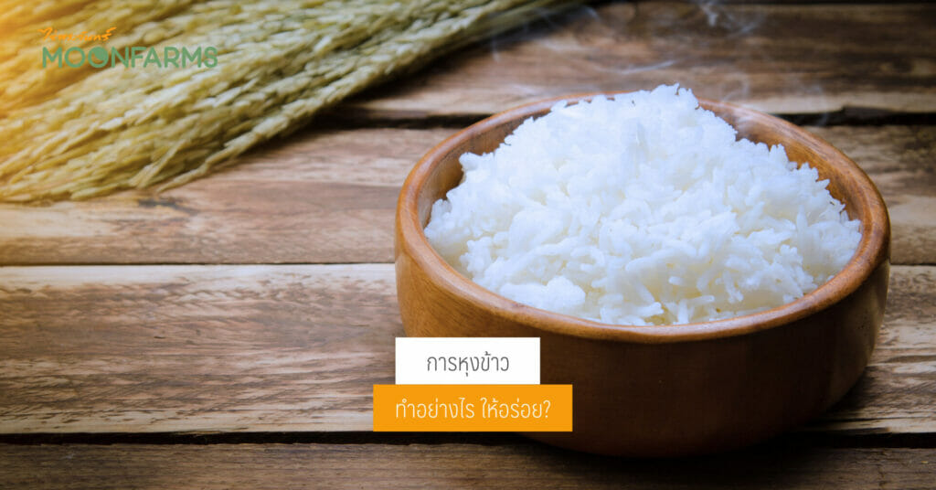 5 วิธีการหุงข้าวให้อร่อย 1 หุงข้าว