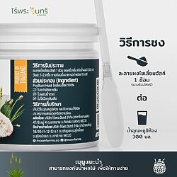 ไซเลี่ยมฮัสค์ 21 ไซเลี่ยมฮัลค์ ไซเลี่ยมแท้ ไร่พระจันทร์