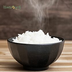 ข้าวญี่ปุ่น 12 ข้าวญี่ปุ่น Japan Rice Japanese Rice ข้าวประเทศญี่ปุ่น ไร่พระจันทร์