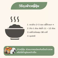 ข้าวญี่ปุ่น 10 ข้าวญี่ปุ่น - Image 3