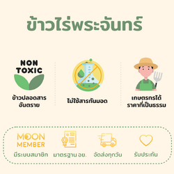 ข้าวสังข์หยด 11 ข้าวสังข์หยด - Image 2