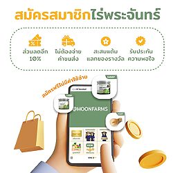 ผงกระเทียม 19 ผงกระเทียม - Image 10