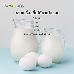 ผงไข่ขาว 16 ผงไข่ขาว Egg white Powder ผงไข่ ไข่ขาว Egg powder