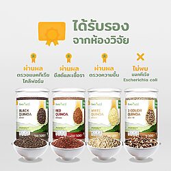 ควินัวแดง 13 ควินัวแดง - Image 3