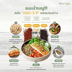 ควินัวแดง 15 ควินัวแดง - Image 5
