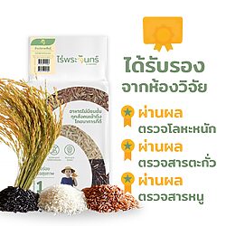 ข้าวสามสี 13 ข้าวสามสี - Image 3