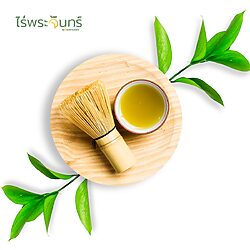 ไม้ไผ่ชงชา 12 ไม้ไผ่ชงชา - Image 6