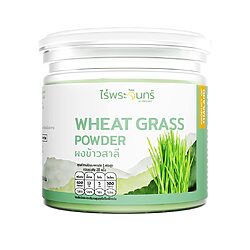 ผงต้นอ่อนข้าวสาลี ข้าวสาลีอ่อน ผงต้นข้าวสาลี wheat grass powder