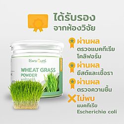 ผงต้นอ่อนข้าวสาลี 11 ผงต้นอ่อนข้าว ข้าวสาลีผง ไร่พระจันทร์