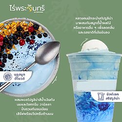 Blue Spirulina Powder ผงสาหร่าย ผงสาหร่ายสไปรูลิน่า สีน้ำเงิน ผงสาหร่ายสไปรูลิน่า สไปรูลิน่า สาหร่ายสไปรูลิน่า Spirulina Powder ไร่พระจันทร์ moonfarms