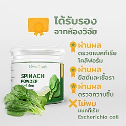 ผงผักโขม 13 ผงผักโขม ผัโขมผงแท้ ไร่พระจันทร์