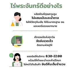ผงเลม่อน 11 ผงเลม่อน - Image 2
