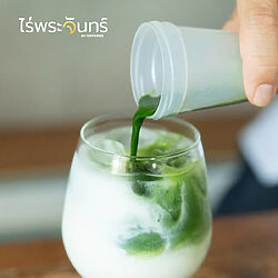 กระบอกเชคมัทฉะ 11 กระบอกเชคมัทฉะ ขวดมัทฉะ กระบอกมัทฉะ เขย่ามัทฉะ matcha shaker วิธีชงมัทฉะ