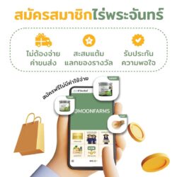 กระเช้า ผิวสดใสจากภายใน - Image 4