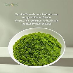 ผงผำบด 13 ผงผำบด - Image 3
