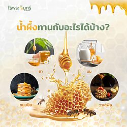 น้ำผึ้ง - Image 6