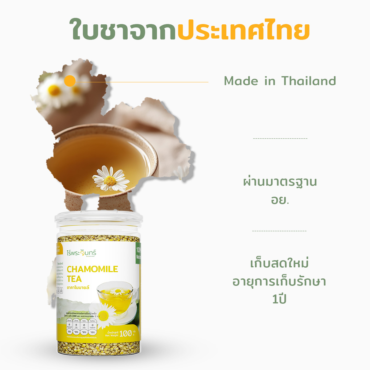 ชาคาโมมายล์ 2 ชาคาโมมายล์ ดอกคาโมมายล์ ชาดอกไม้ ไร่พระจันทร์ chamomile tea